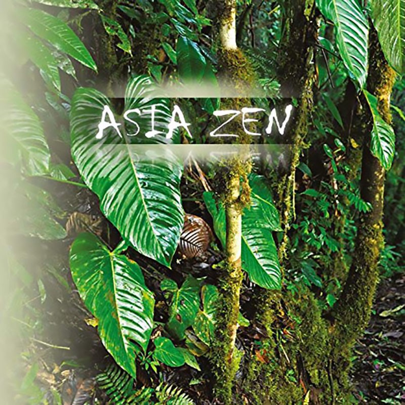 ASIA ZEN