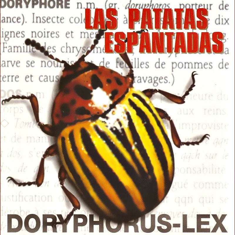 LAS PATATAS ESPANTADAS  "DORYPHORUS-LEX"