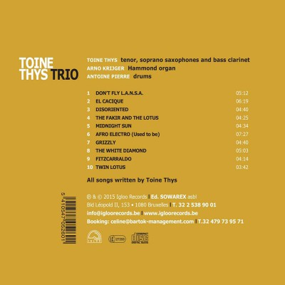 TOINE THYS TRIO  "GRIZZLY"